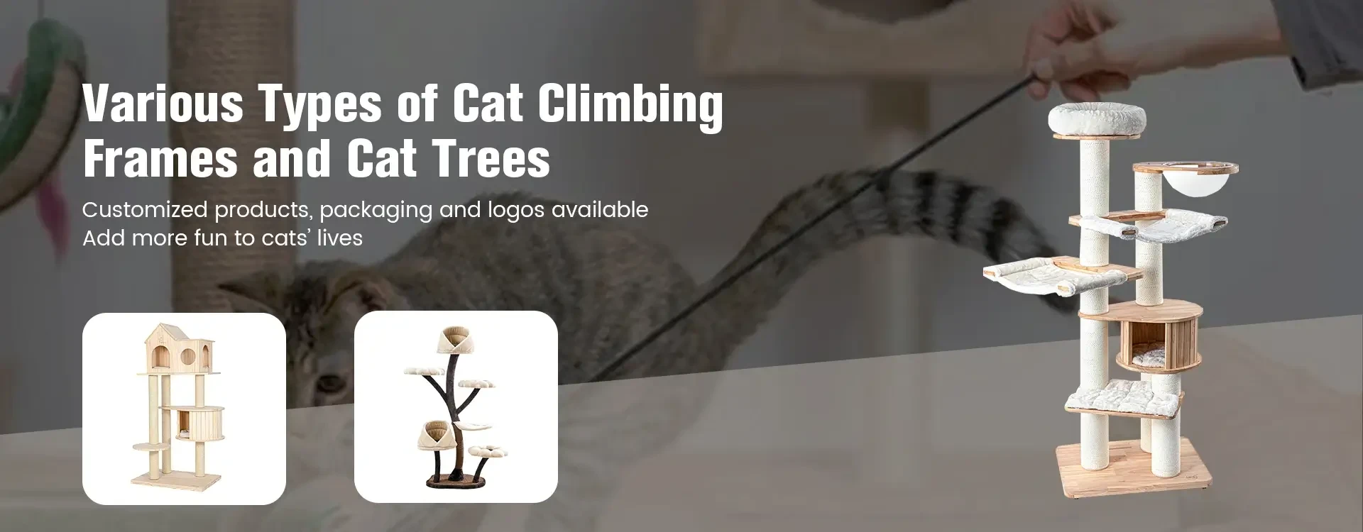 wholesale pet supplies