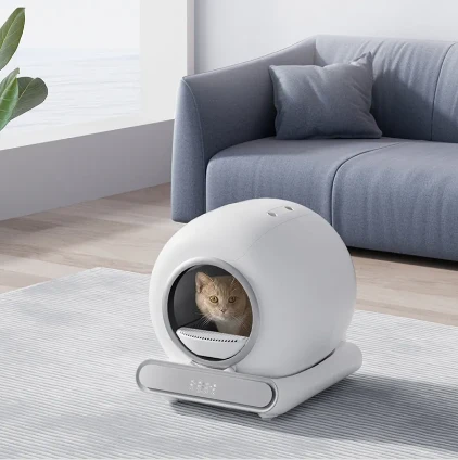 Essential Suppliers for Pet Care: Bulk Litter, Grooming & More