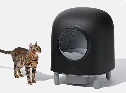Smart Pet Products Are Advancing By Leaps And Bounds